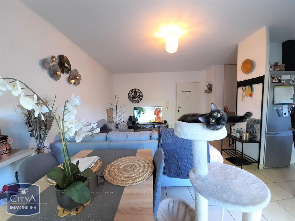 location Appartement - 2 pièce(s) - 44 m² Le Pontet (84130)