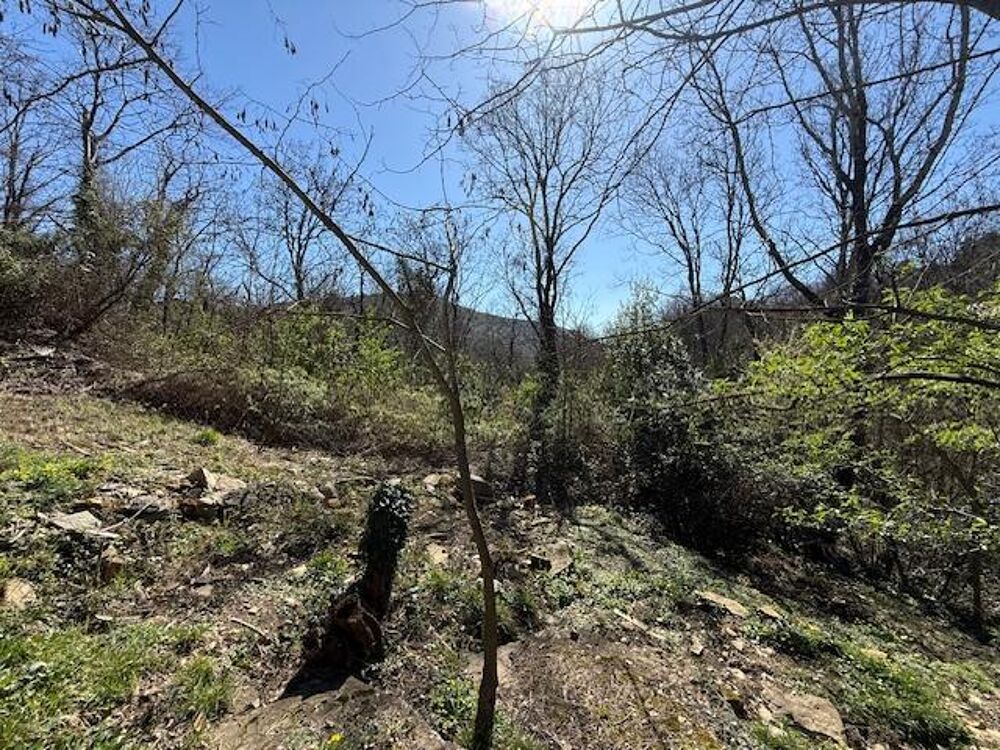 vente Terrain - 3199 m² Vesseaux (07200)