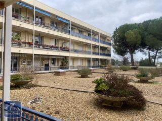  Appartement � louer 3 pi�ces 55 m�