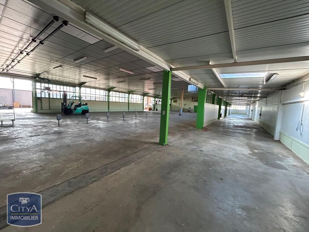   Location / Local Commercial 