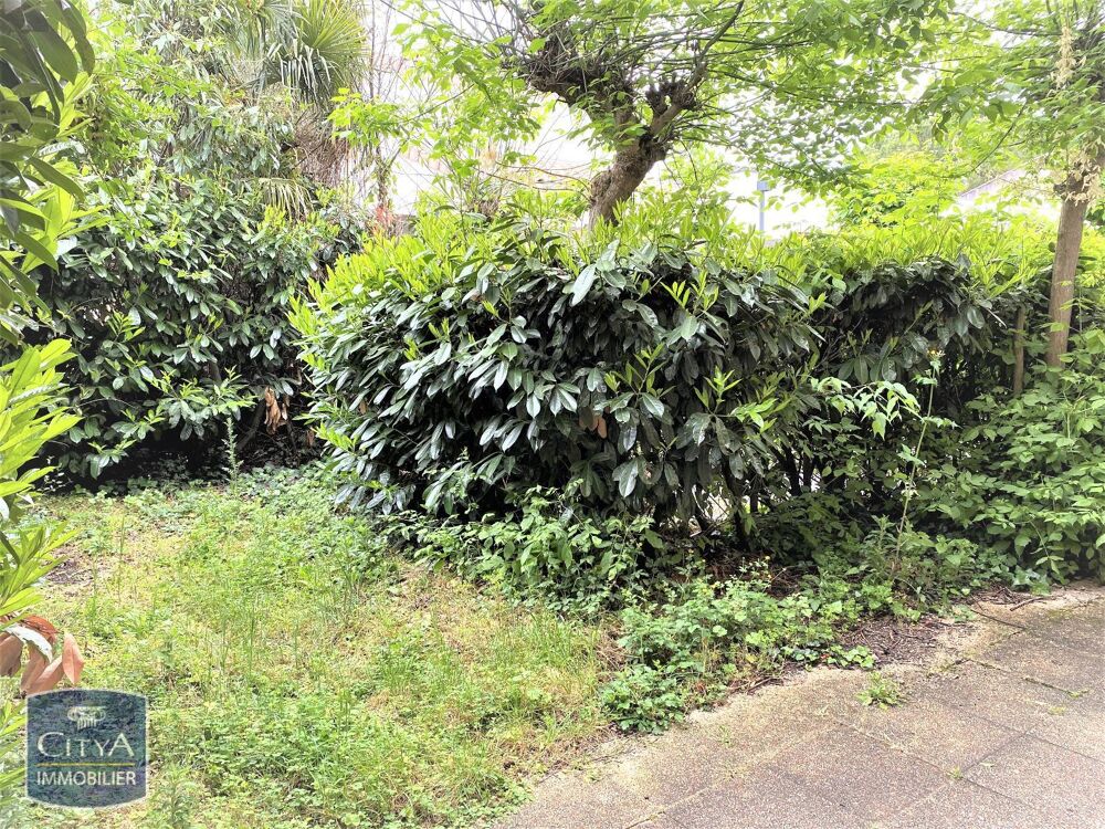 location Appartement - 3 pièce(s) - 68 m² Toulouse (31500)