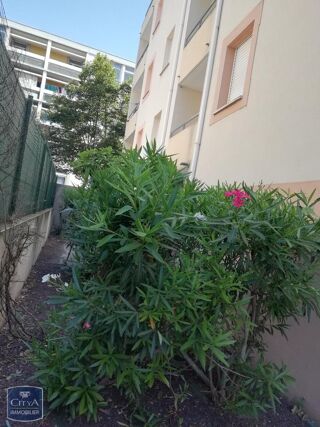  Appartement � louer 3 pi�ces 58 m�