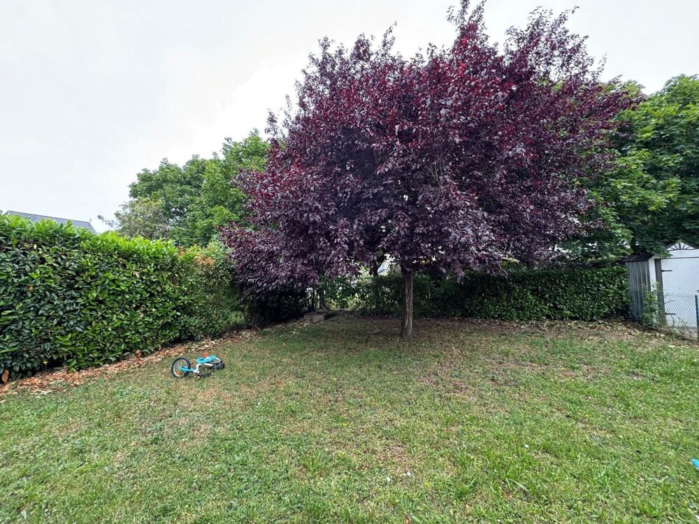 location Maison - 4 pièce(s) - 80 m² La Ville-aux-Dames (37700)