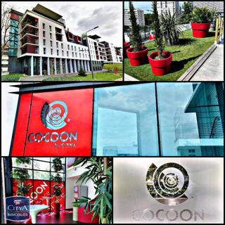  Appartement � louer 1 pi�ce 25 m�