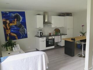  Appartement à louer 1 pièce 31 m²