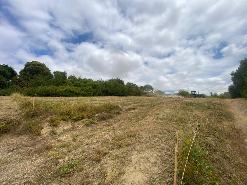 vente Terrain - 1222 m² Preignan (32810)