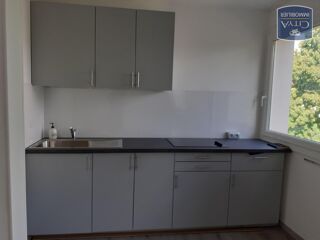  Appartement à louer 1 pièce 29 m²
