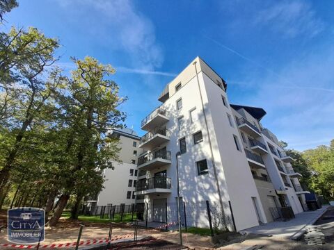  Appartement � louer 3 pi�ces 55 m�