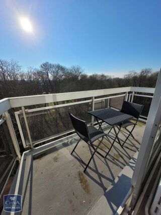 Appartement à louer 1 pièce 30 m²