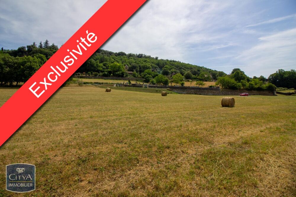 vente Terrain - 8615 m² Saint-Cyprien (24220)