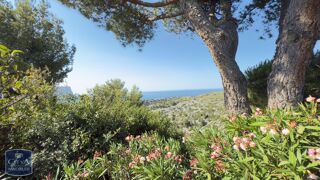  Appartement � vendre 1 pi�ce 34 m�