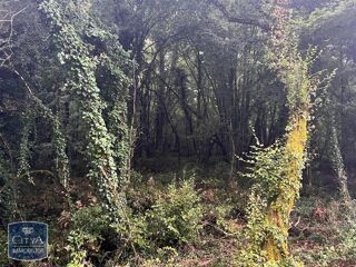  Terrain  vendre 2613 m