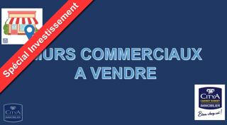  Immeuble  vendre 