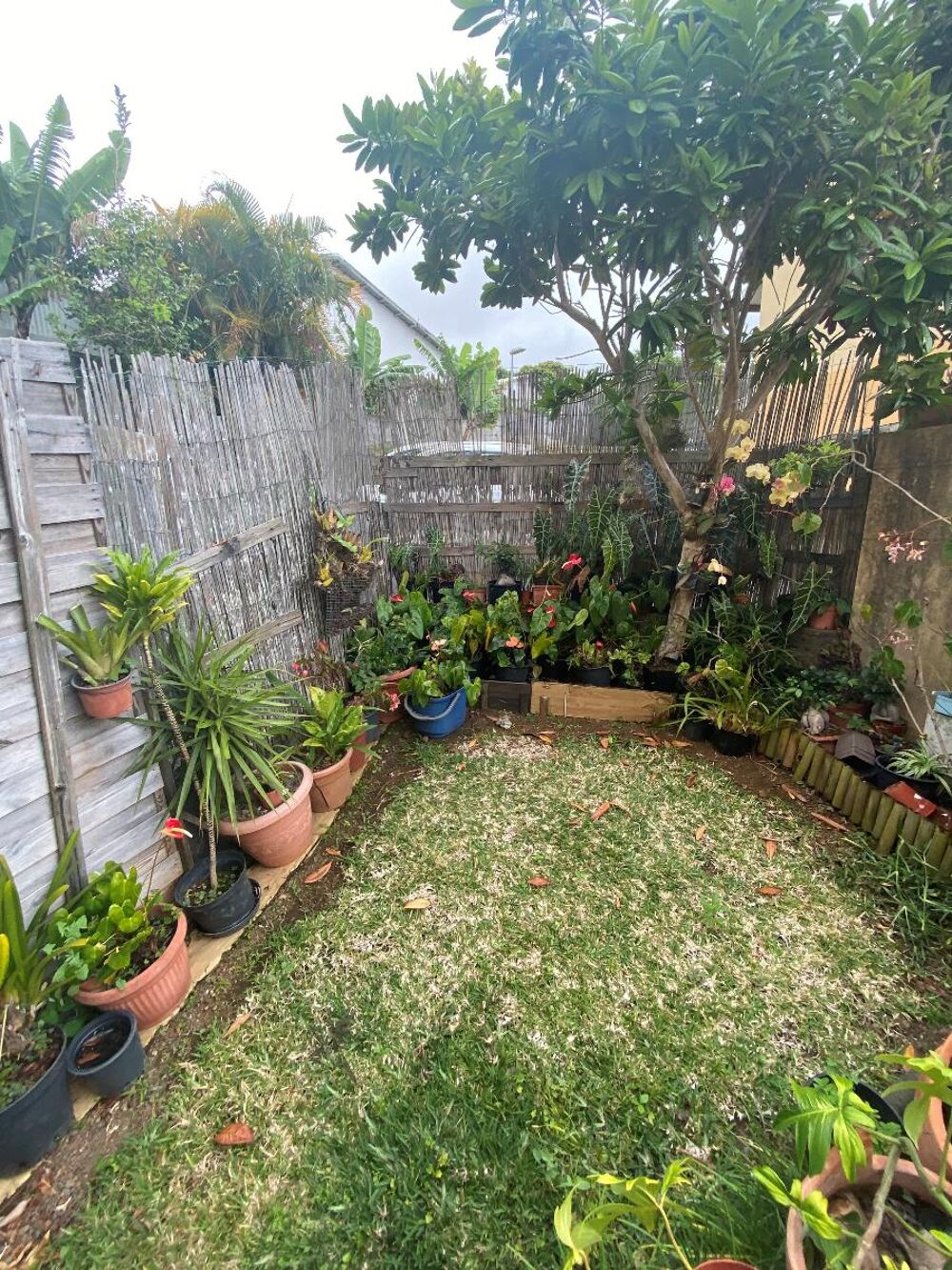 vente Maison - 3 pièce(s) - 88 m² Le Tampon (97430)