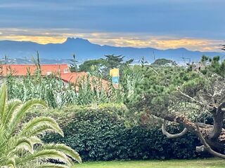  Appartement � vendre 2 pi�ces 46 m�