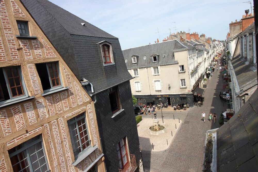 vente Appartement - 1 pièce(s) - 25 m² Tours (37000)
