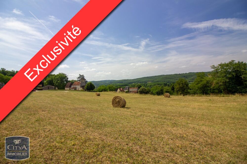 vente Terrain - 8615 m² Saint-Cyprien (24220)
