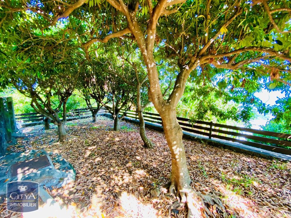 � vendre  Villa Saint-Paul (97460)