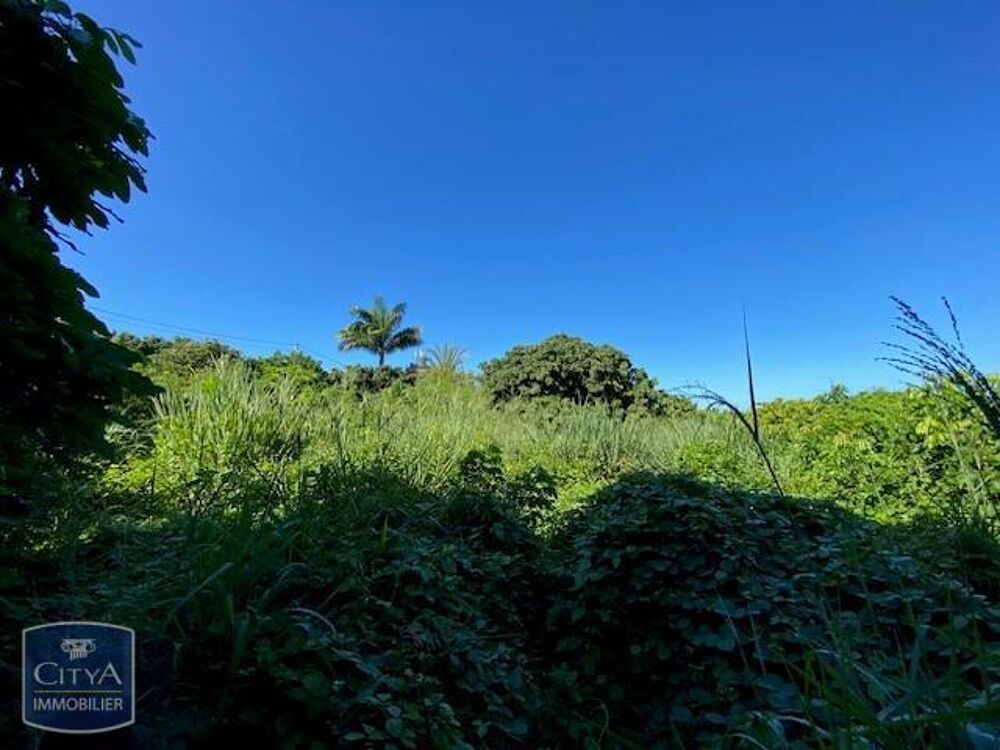 vente Terrain - 832 m² Saint-Gilles les Hauts (97435)