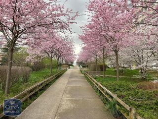  Appartement � vendre 1 pi�ce 36 m�