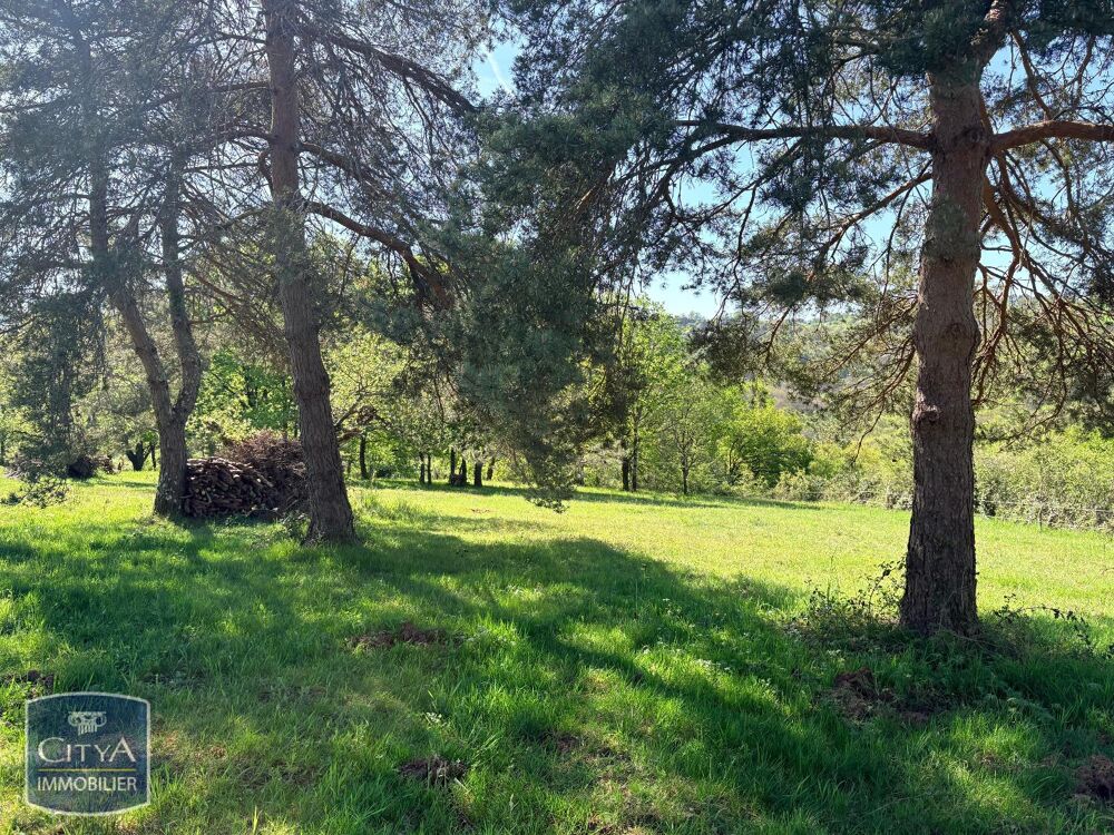 vente Terrain - 5006 m² Cosnac (19360)