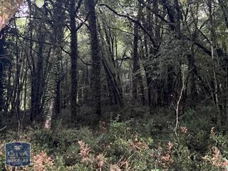  Terrain  vendre 2613 m