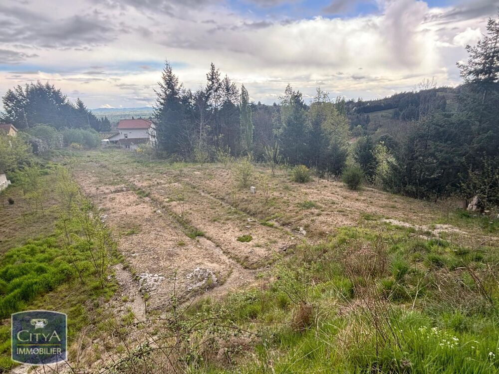 vente Terrain - 2500 m² Saint-Haon-le-Vieux (42370)