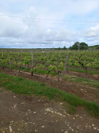  Maison � vendre 65000 m�