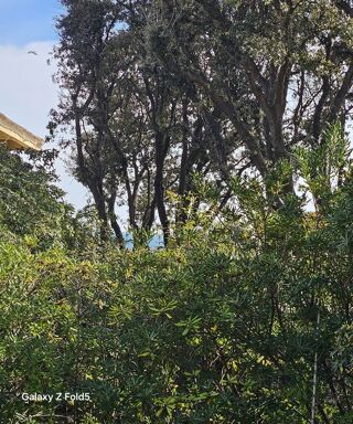  Appartement � vendre 2 pi�ces 33 m�