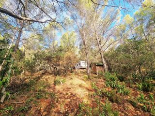  Terrain  vendre 733 m