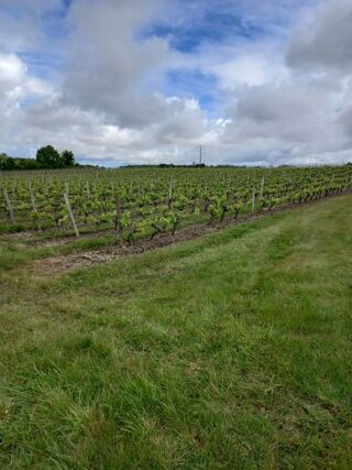  Maison � vendre 65000 m�