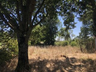  Terrain  vendre 6863 m