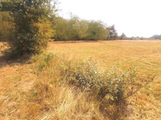  Terrain � vendre 