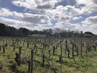  Maison  vendre 1 pice 100 m