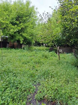  Maison � vendre 3 pi�ces 60 m�