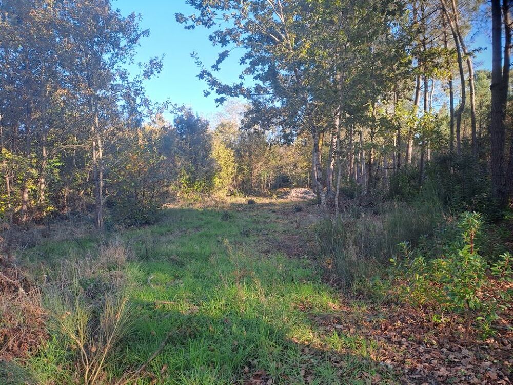 Vente Terrain TERRAIN CONSTRUCTIBLE Saint-sauveur