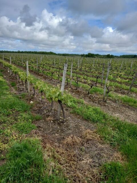   Vente Maison Maison - 65000 m�