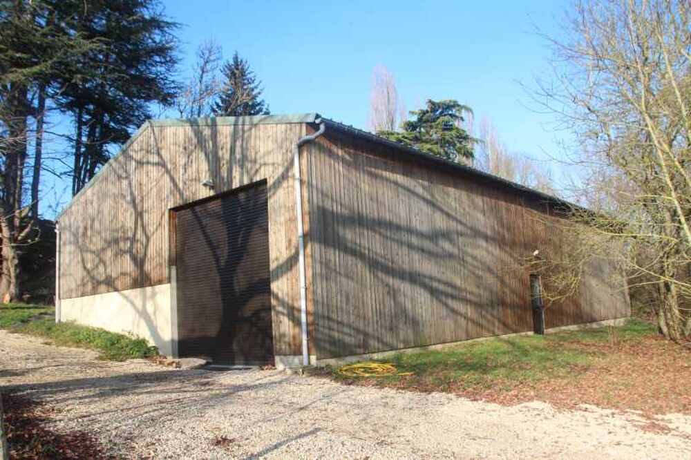   Locaux d'activit - A VENDRE - 950 m divisibles  partir de 100 m 