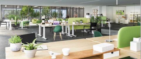   Bureaux - A LOUER - 2300 m divisibles  partir de 1150 m 