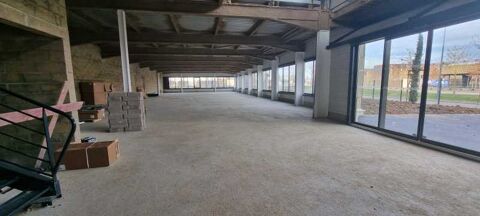   Bureaux - A LOUER - 339 m non divisibles 