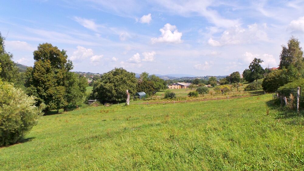Vente Terrain Beau terrain constructible de 1003 m² à Cusy Cusy