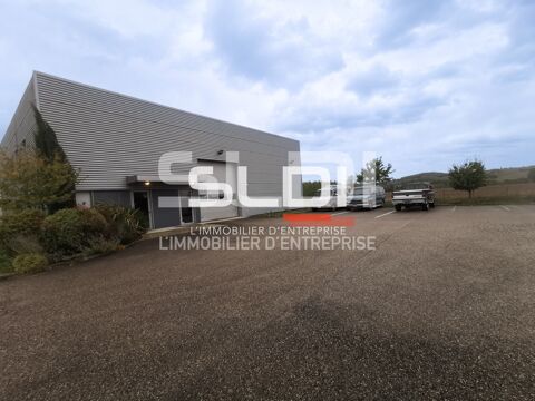 Locaux d'activités - A LOUER - 498 m² non divisibles 3928 38200 Luzinay