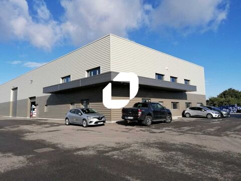 Locaux d'Activités - A VENDRE OU A LOUER - 1 300 m² non divisibles 3500000 69360 Communay