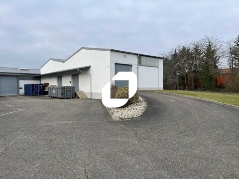 Locaux d'Activités - A LOUER - 1 300 m² non divisibles 6500 67560 Rosheim