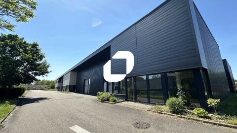 Locaux d'Activités - A LOUER - 326 m² non divisibles 2333 67118 Geispolsheim