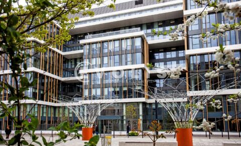 NATIVE - 2 530 m² divisibles à partir de 1 125 m² 49896 78180 Montigny le bretonneux