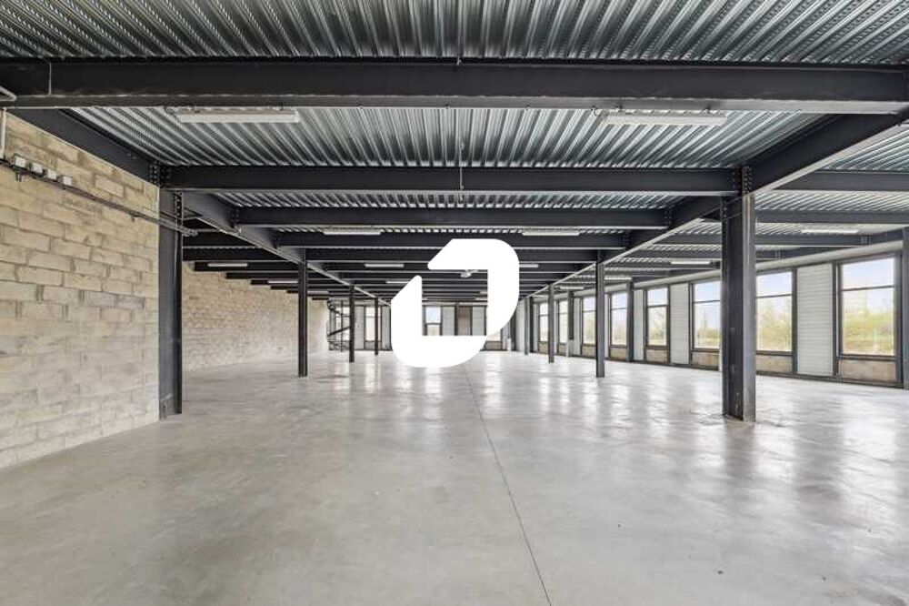   Locaux d'Activits - A VENDRE - 4236 m divisibles  partir de 1692 m 