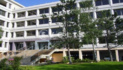 Bureaux - A LOUER - 6 884 m² divisibles à partir de 629 m² 77445 94150 Rungis