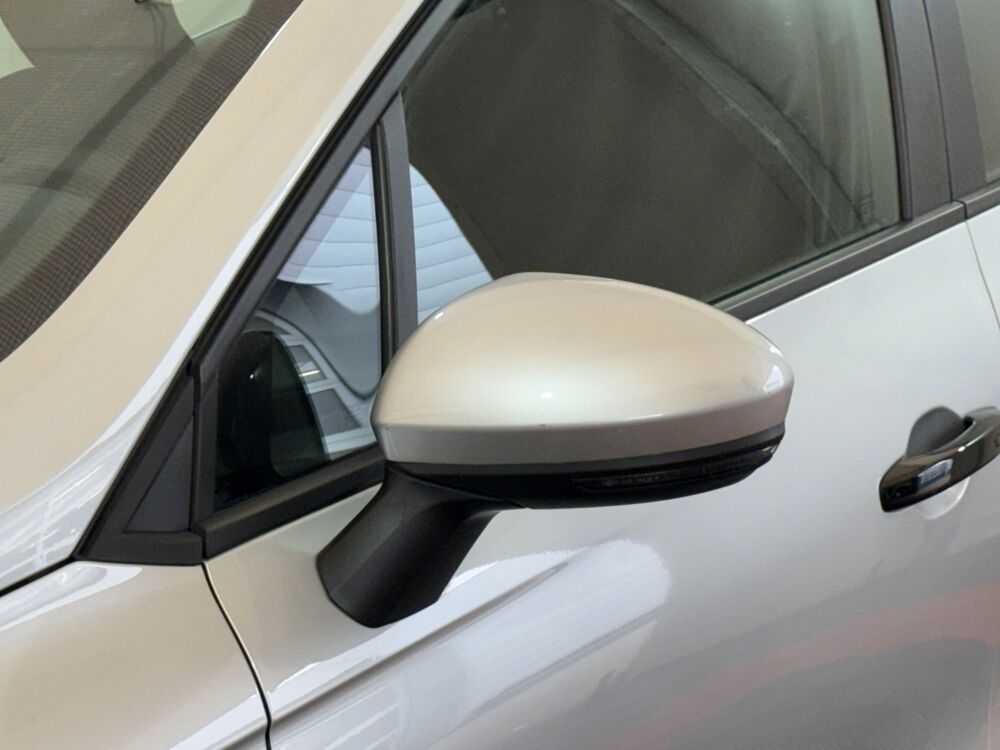 Clio Business TCe 100 - 20 2020 occasion 91580 &Eacute;tr&eacute;chy