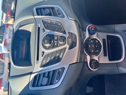 Fiesta 3P 1.4 TDCI 68 Trend 2010 occasion 47200 Saint-Pardoux-du-Breuil